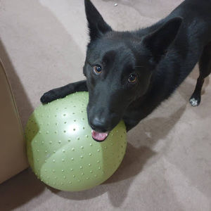 Meet your Posher, Ariella